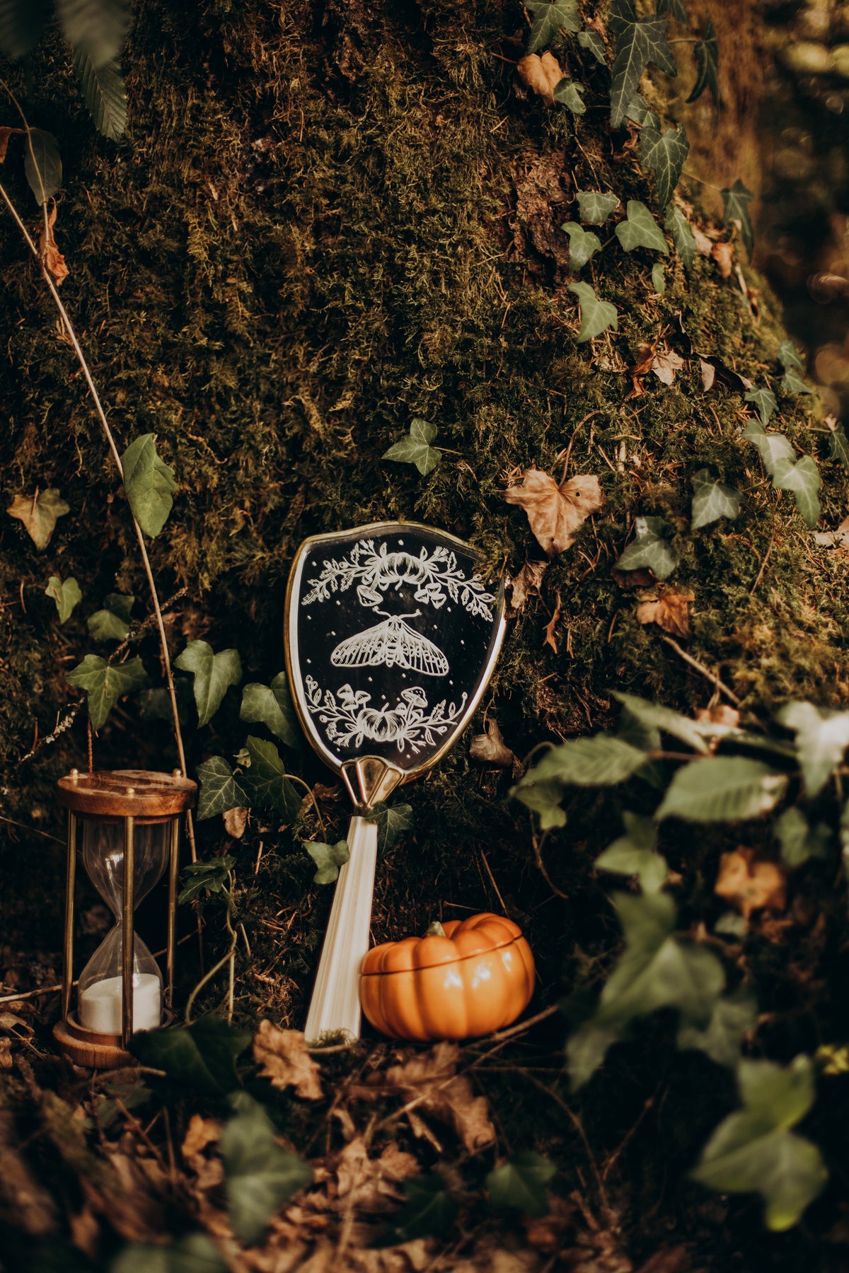 Phalæna Autumni