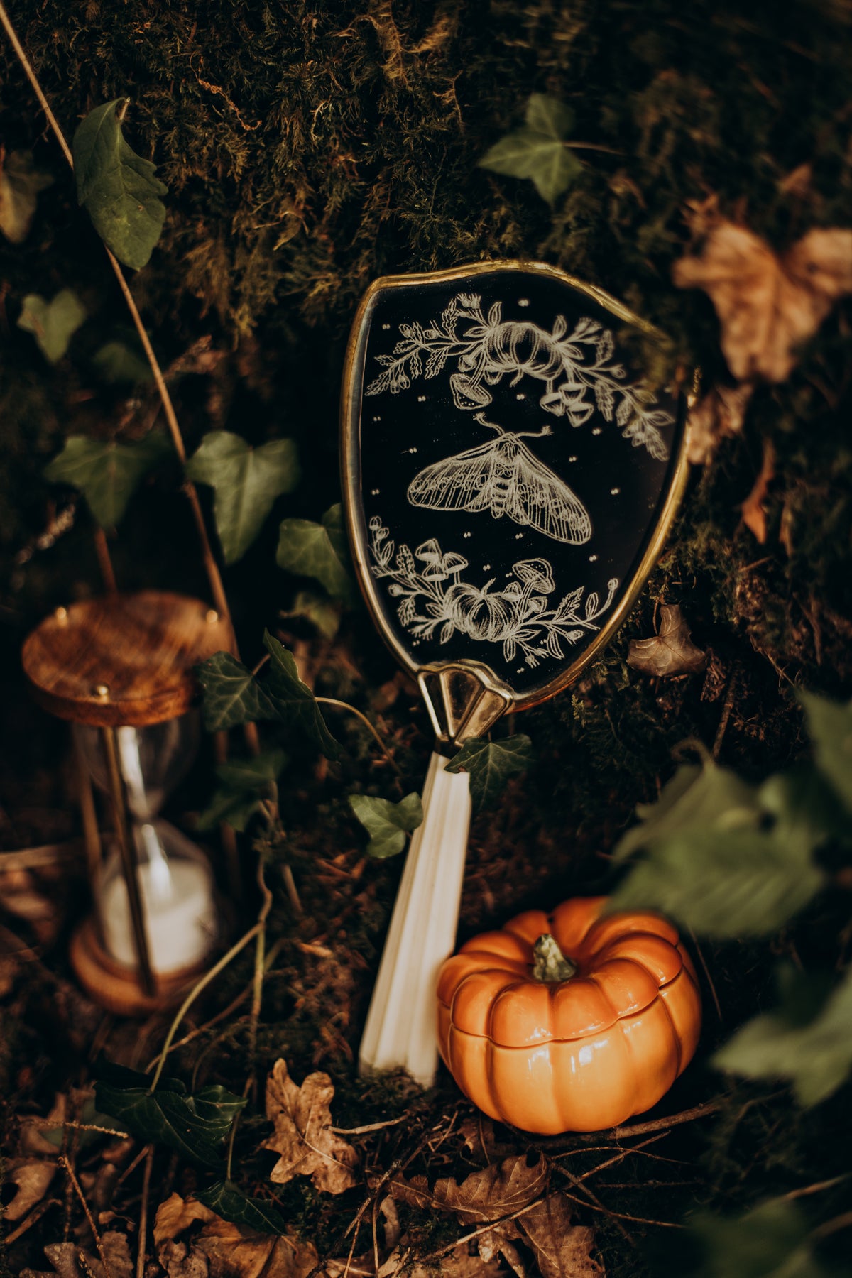 Phalæna Autumni
